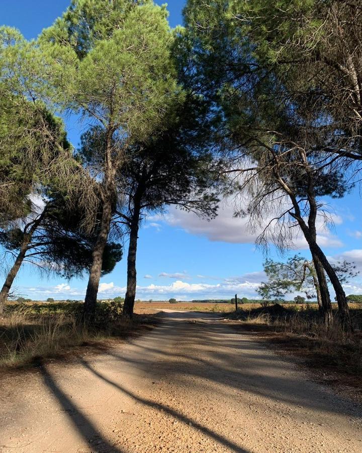 Casa Rural La Navarra Villarrobledo Bagian luar foto