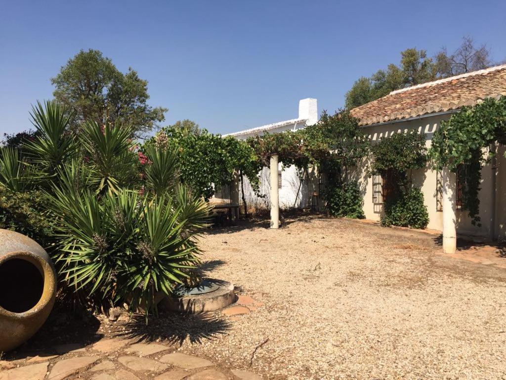 Casa Rural La Navarra Villarrobledo Bagian luar foto