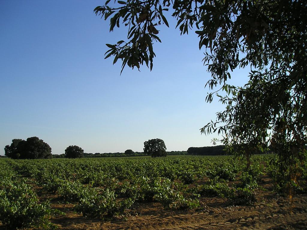 Casa Rural La Navarra Villarrobledo Bagian luar foto
